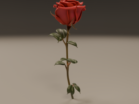 Rose flower 3D Print Model