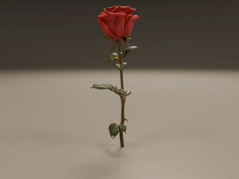 Rose flower 3D Print Model