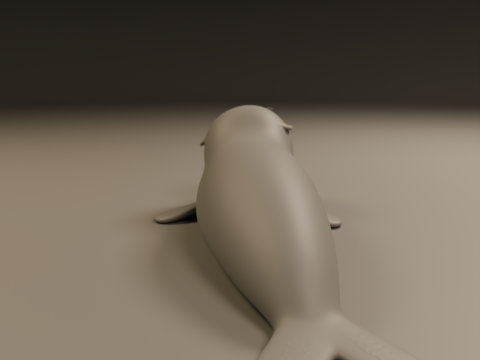 Monk seal 3Dプリントモデル
