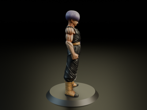 Trunks 3D Принт Модель