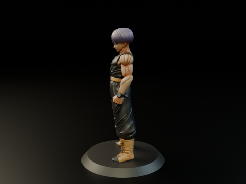 Trunks 3D Принт Модель