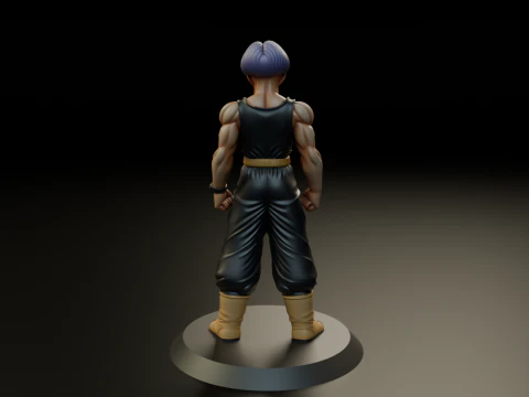 Trunks 3D Print Model