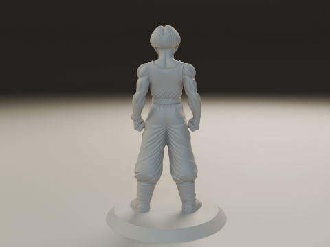 Trunks 3D Принт Модель