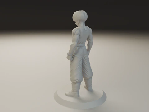 Trunks 3D Print Model