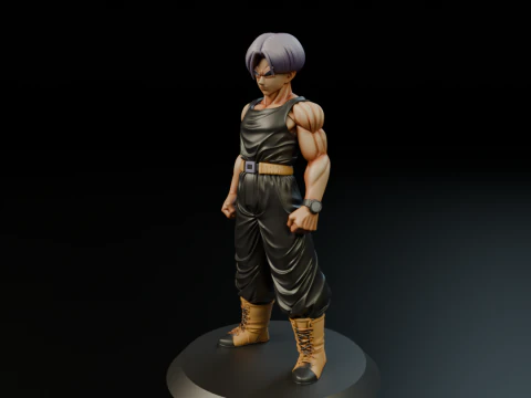 Trunks 3D Print Model