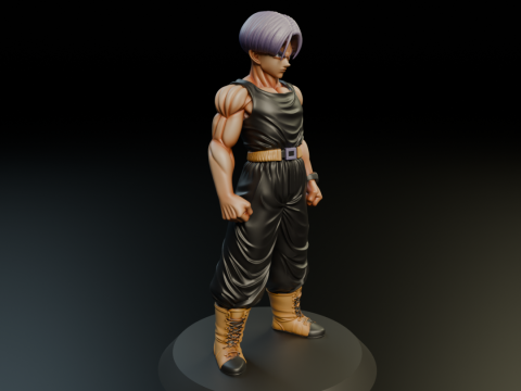 Trunks 3D Принт Модель