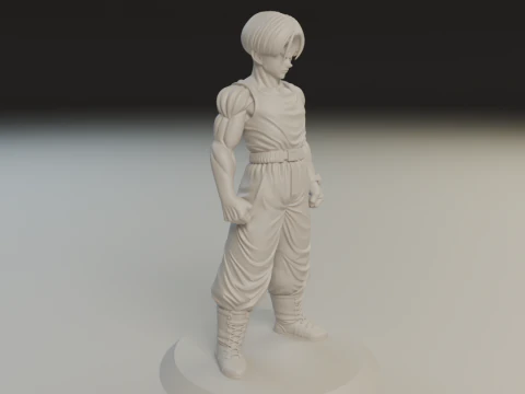 Trunks 3D Print Model