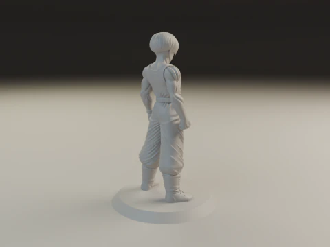 Trunks 3D Print Model