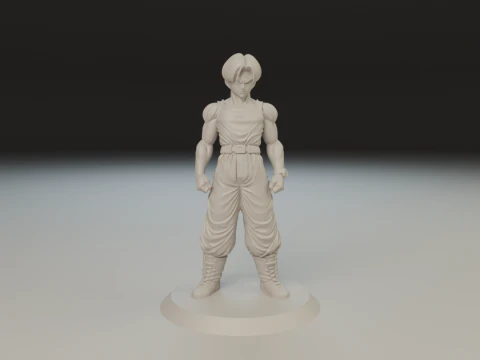 Trunks 3D Print Model