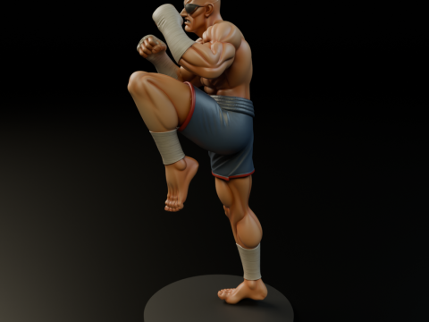 Sagat 3D 프린트 모델