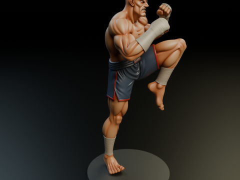 Sagat 3D 프린트 모델