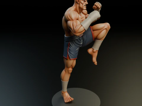 Sagat 3D Print Model