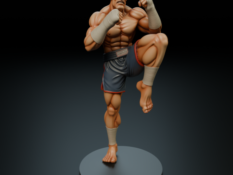 Sagat 3D 프린트 모델