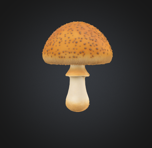 3D Realistic Mushroom 3D Модель .c4d .max .obj .3ds .fbx .stl .blend 