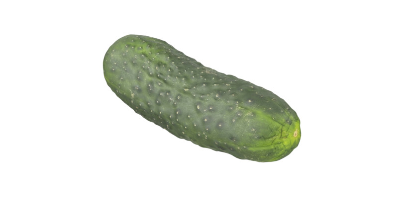 Cucumber 3D 모델 .c4d .max .obj .3ds .fbx .stl .blend