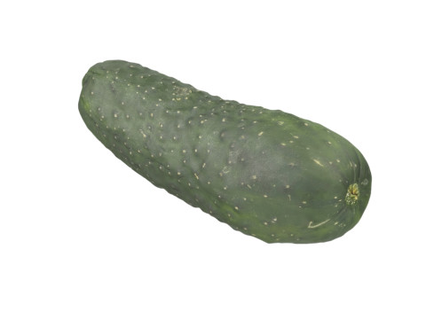 Cucumber 3D 모델