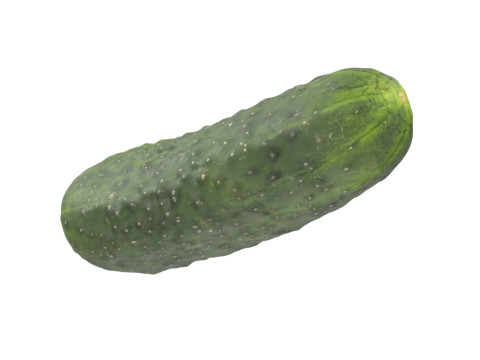 Cucumber 3D 모델