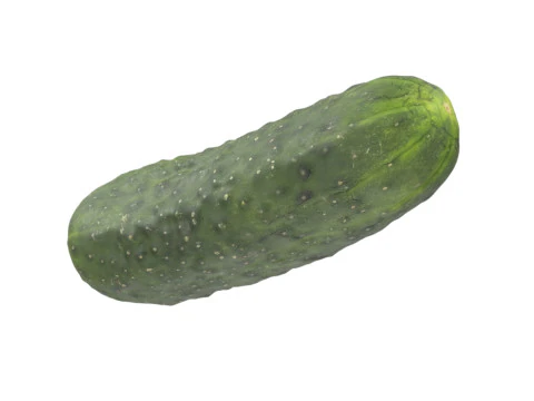 Pepino Modelo 3D