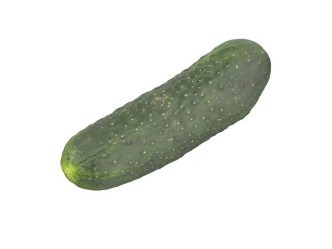 Cucumber 3D 모델