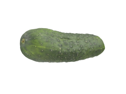 Cucumber 3D 모델