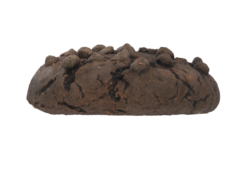 Brown Cookie 3D मॉडल