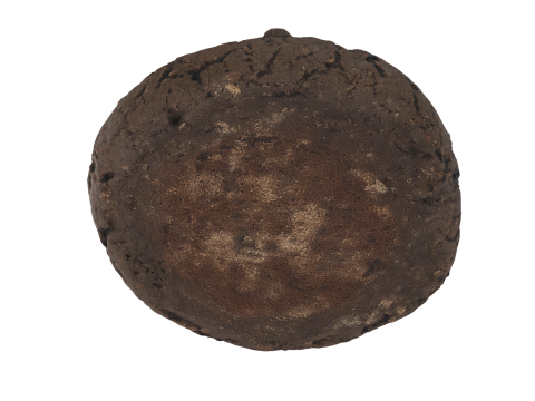 Brown Cookie 3D मॉडल