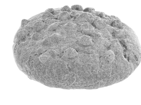 Brown Cookie 3D मॉडल