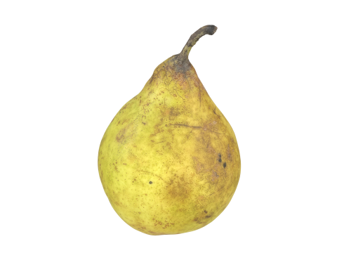 Pear Fruit 3D 모델