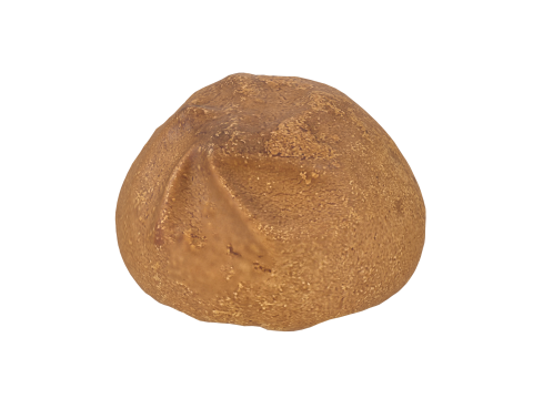 Cookie 3D 모델