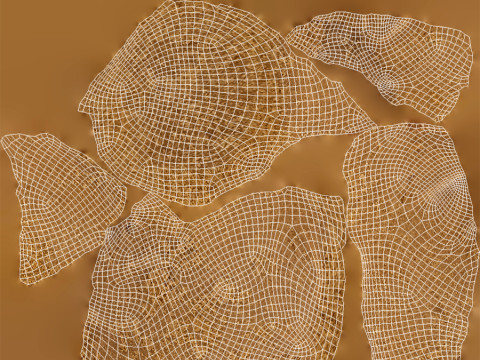 Cookie Modèle 3D
