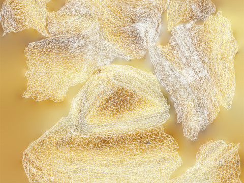 Sweet Pastry 3D Модель