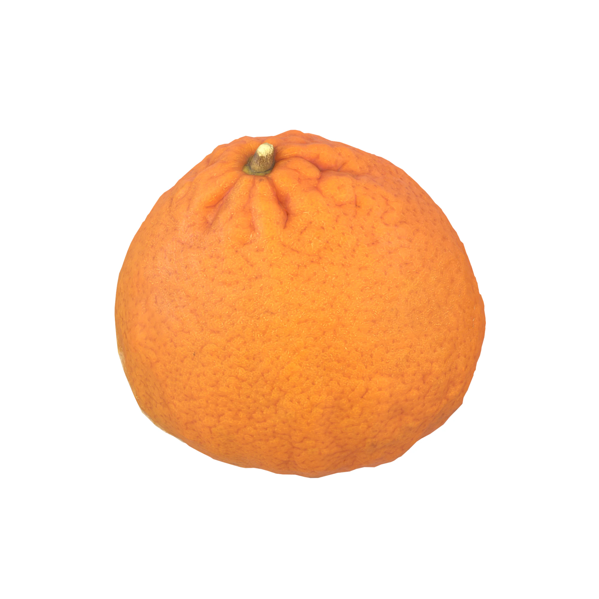Mandarin 3D Model .c4d .max .obj .3ds .fbx .stl .blend 