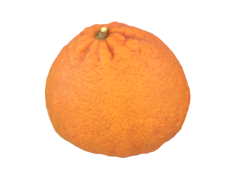 Mandarin 3D Модель