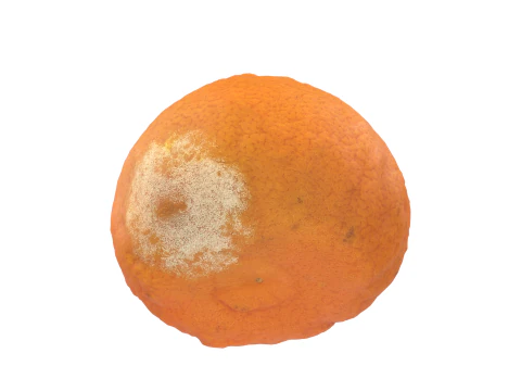 Mandarin 3D Model