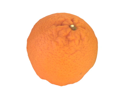 Mandarin 3D Model