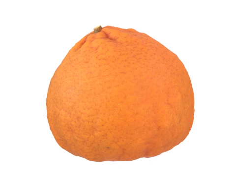 Mandarin 3D Model