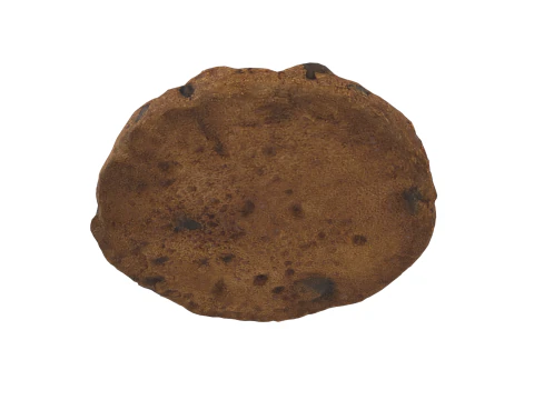 Cookie 3D Model