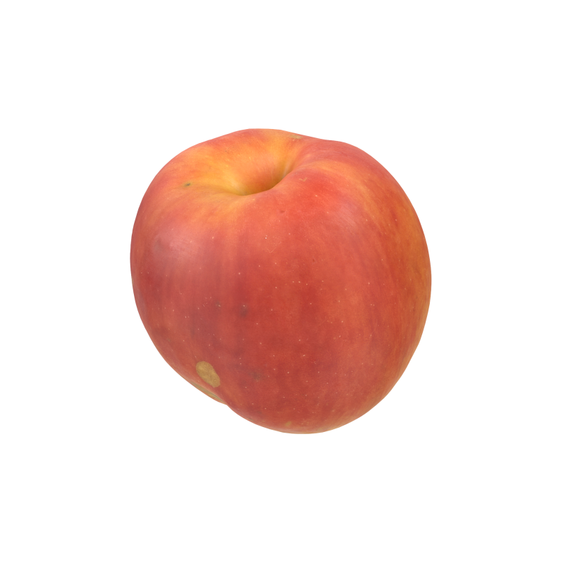 Red Apple 3D 모델 .c4d .max .obj .3ds .fbx .stl .blend 
