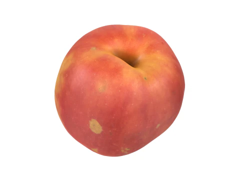 Red Apple 3D Model