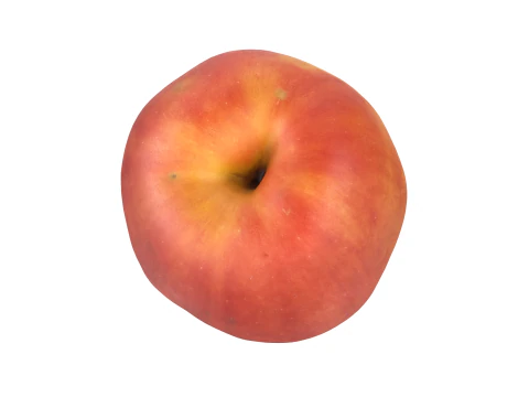 Red Apple 3D Model