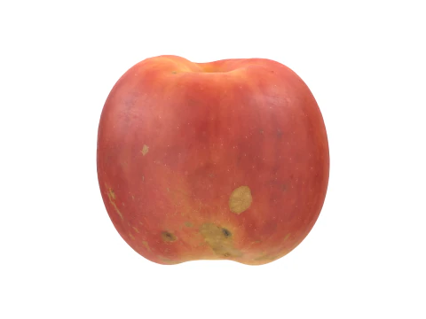 Red Apple 3D Model