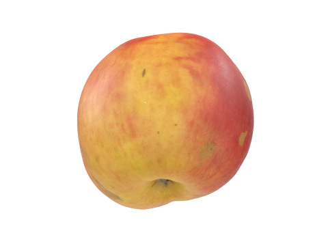 Red Apple 3D 모델