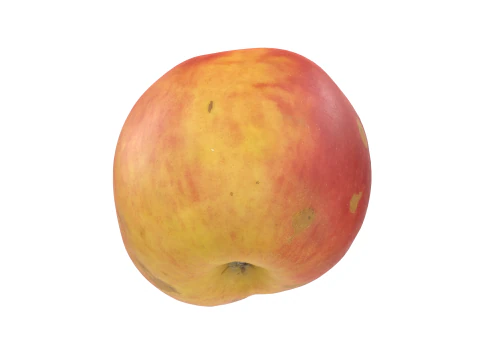 Red Apple 3D Model