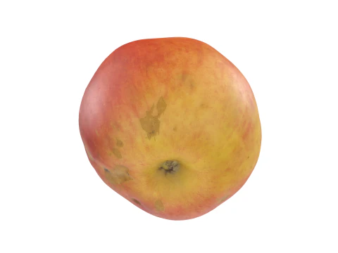 Red Apple 3D Model