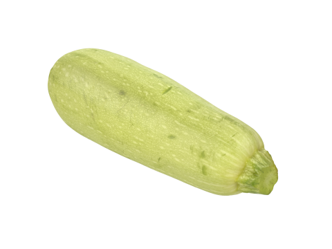 Zucchini 3D मॉडल