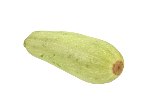 Zucchini 3D Модель