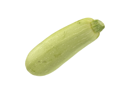 Zucchini 3D Модель