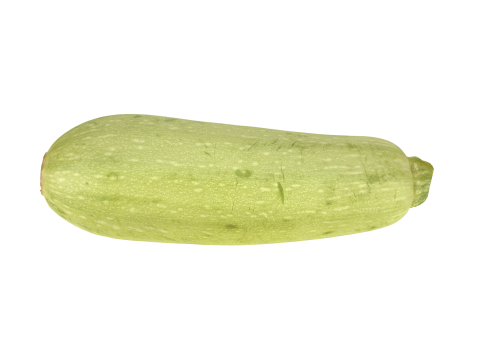 Zucchini 3D Модель