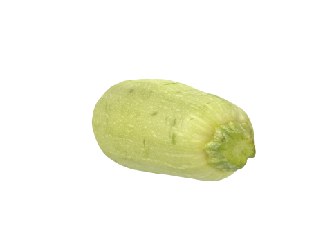 Zucchini 3D Модель