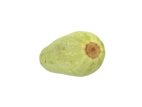Zucchini 3D Модель